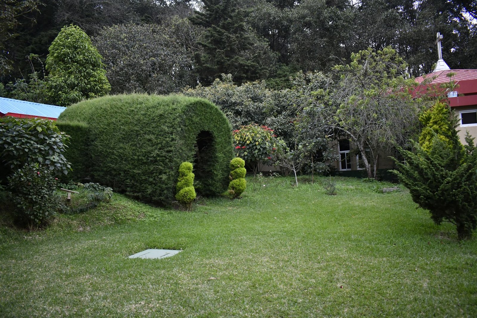 Jardín y Bosque